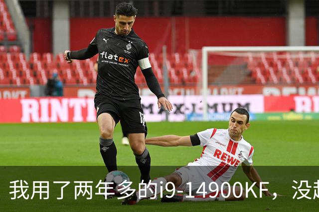 我用了两年多的i9-14900KF，没超频，最近出问题了